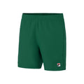 Leo Shorts Men - green,