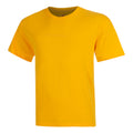 golden yellow_9302