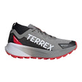 Terrex Agravic GTX Trailschuh Damen - grau, weiß