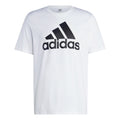 white_5677