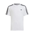 white_5677