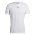 white_5677