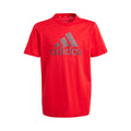 Big Logo T-Shirt Boys - red, black