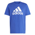 blue_5727