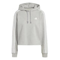 lightgrey_5693