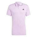lilac_6312