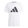 white_5677