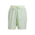 Ergo 7Inch Shorts Herren - hellgrün, silber