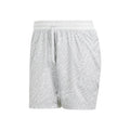 Ergo 7Inch Shorts Herren - hellgrau