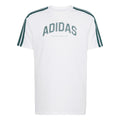 Graphic T-Shirt Men-White,Green