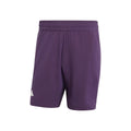 lilac_5681