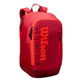 Tour Backpack - dark red