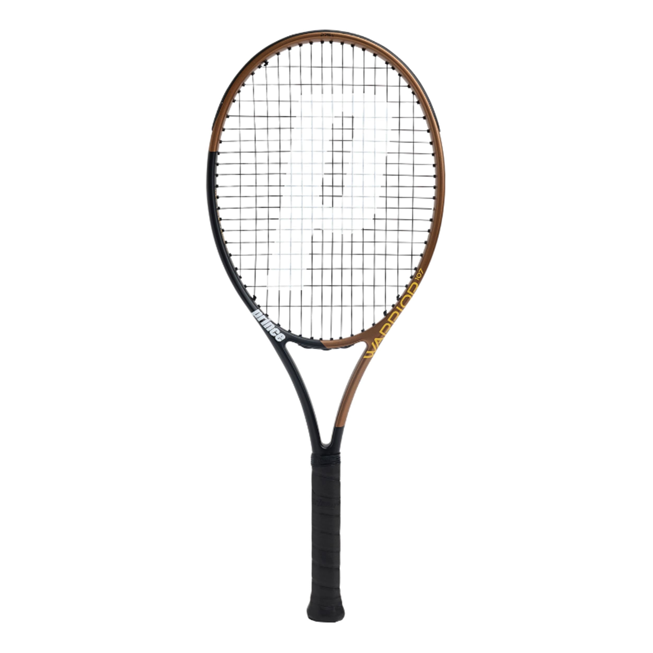 Prince Warrior 107
