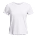 white_5677