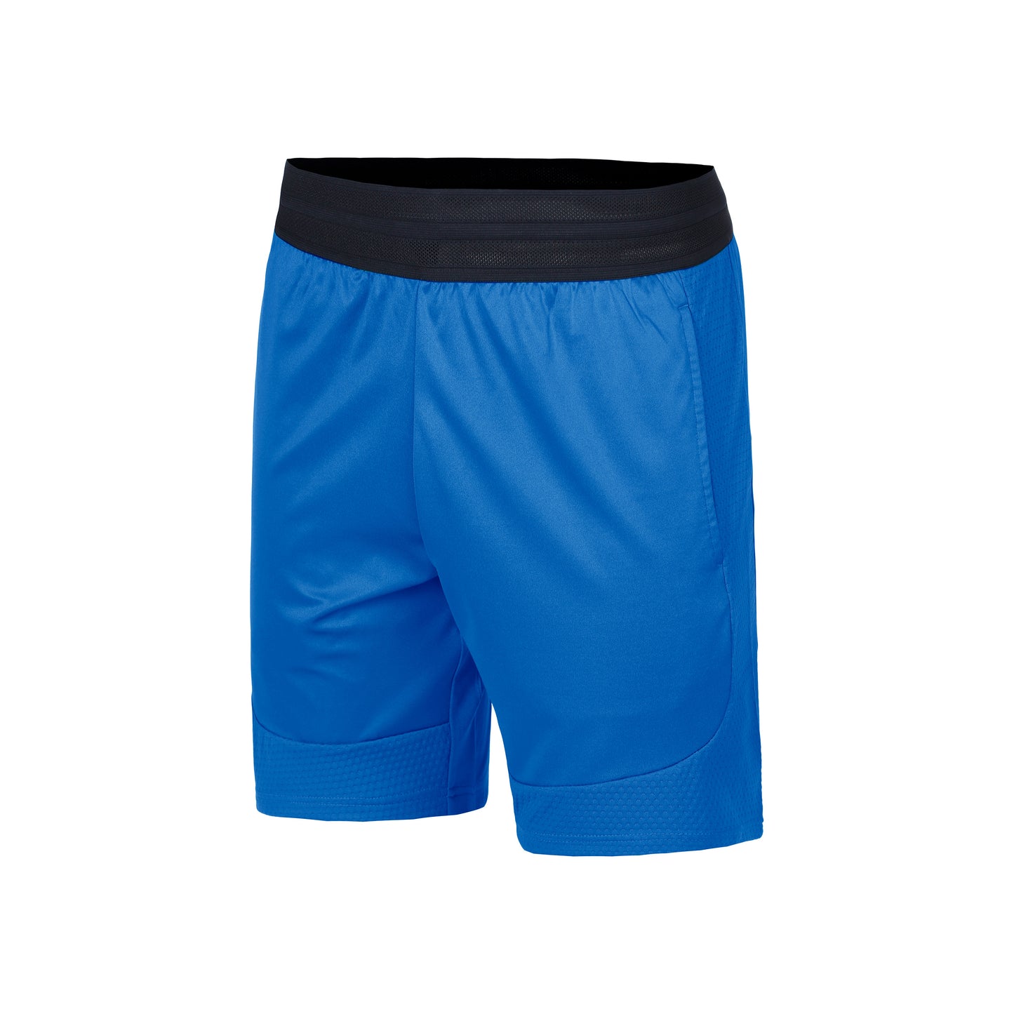 Lacoste Shorts Herren-Blau