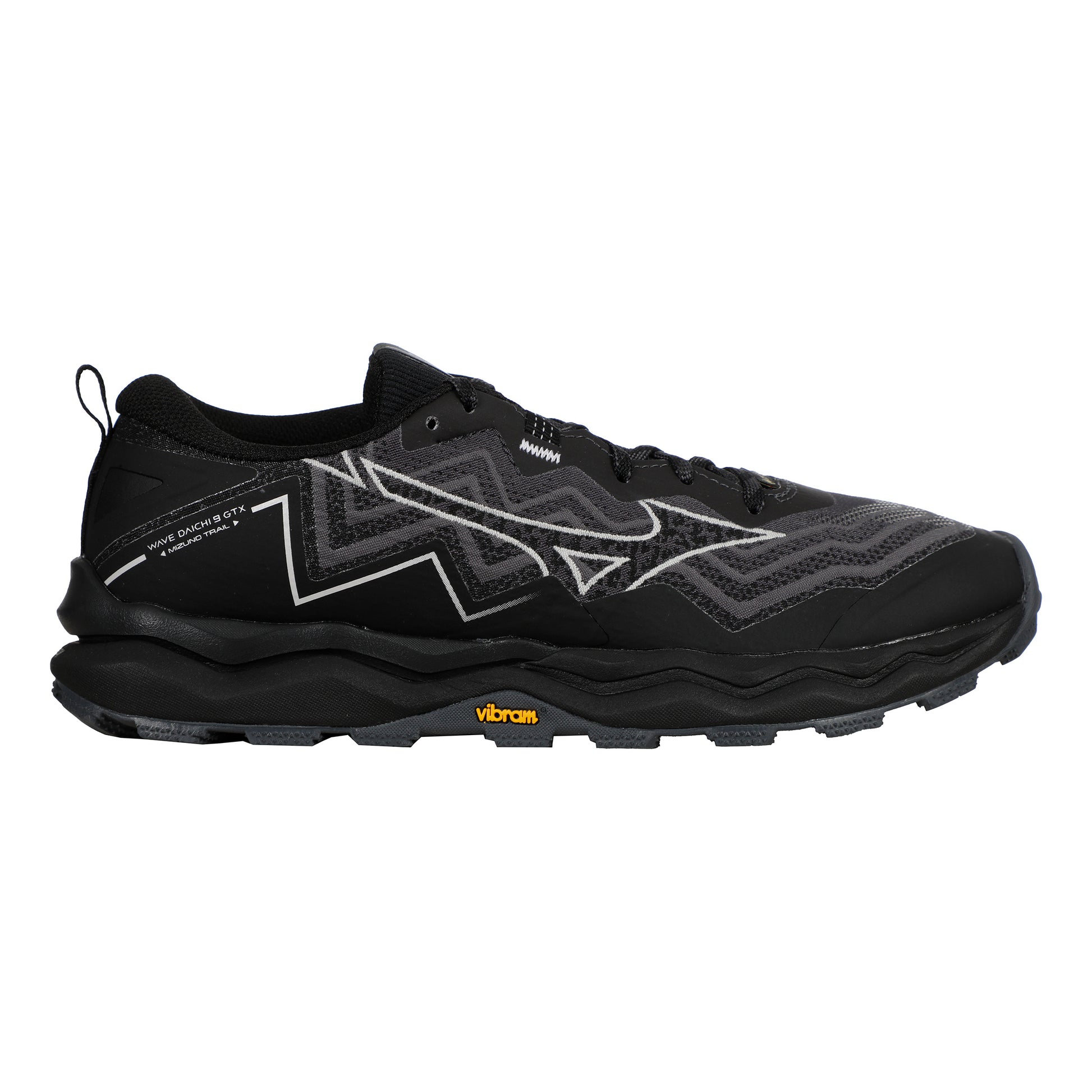 Mizuno Wave Daichi 9 GTX               Trailschuh Damen-grau, hellgrau