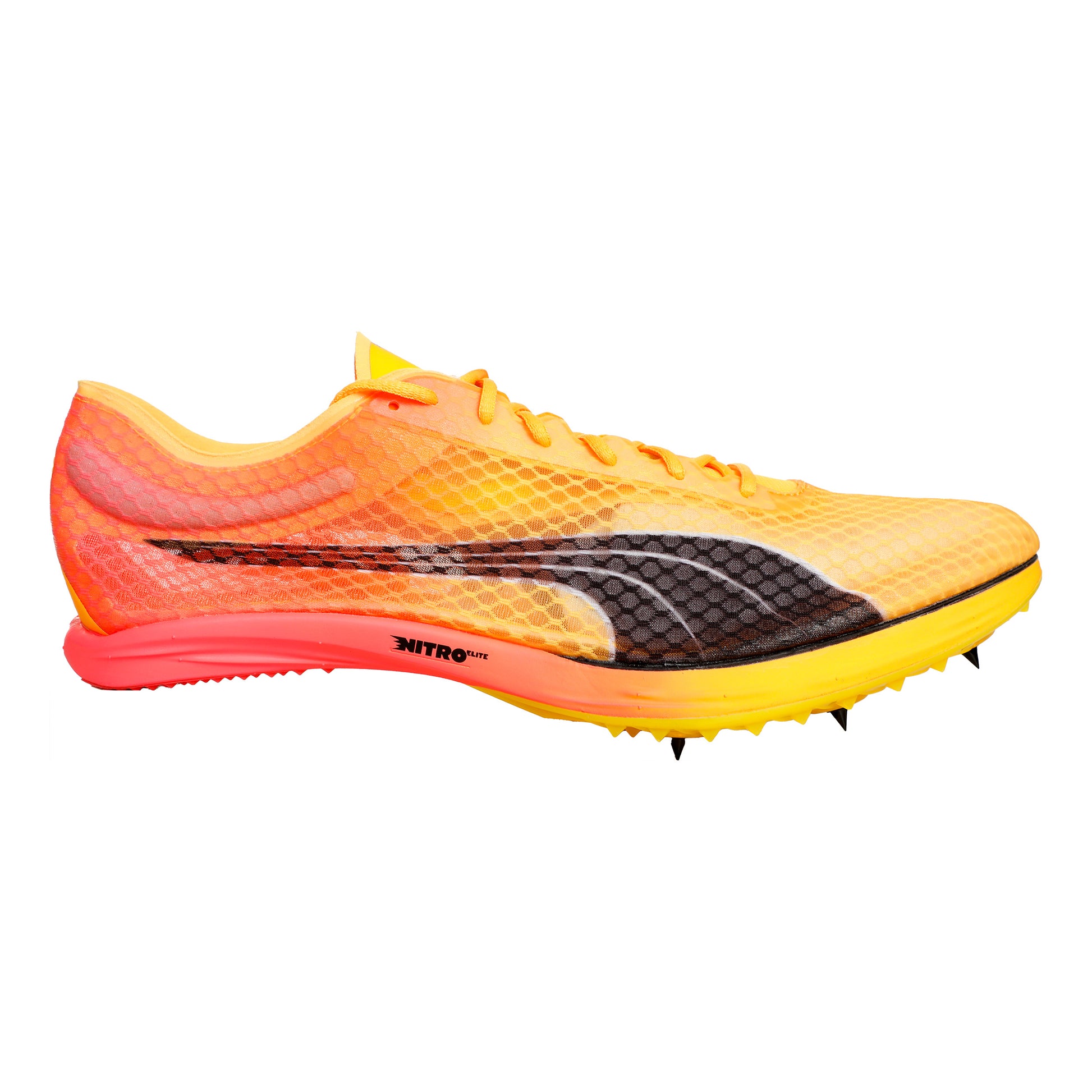 Puma EvoSPEED Distance Nitro Elite+ 2 Spikeschuh-Gelb,Orange