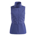 blue_5727
