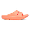 orange_5794