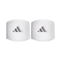 white_5677
