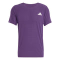 lilac_5681