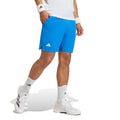 blue_5727