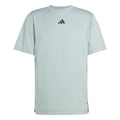 D4T Essentials T-Shirt Men - sage