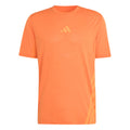 Terrex XPR  Running shirt Men-orange