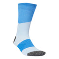 Run x Boost  Running socks Unisex-blue, light blue