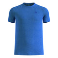 blue_5727