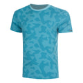 turquoise_5808